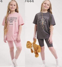 8693419