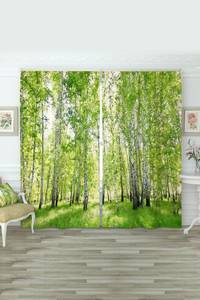 5372860 07fbee13 ad8c 409e 8982 729641f81ec6