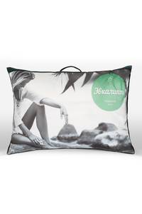 6040496 22f0d6d5 ab5b 457c 97a9 c24c1290121d