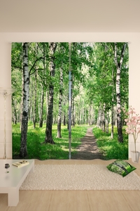 6344242 b1005b41 efe6 4e38 a1a0 37380c9c16f3