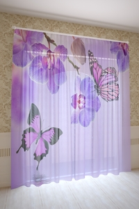 7292992 0ba550b5 bad9 4c73 b34a b9c253e607e8