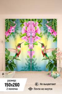 7293001 e8360d0d e62c 4e08 98c6 4a055a359b08