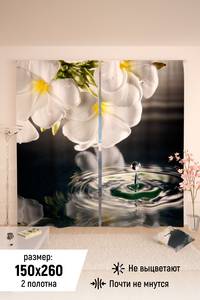 7293003 e4850297 b99e 4e1b 9263 2d38a6354ceb