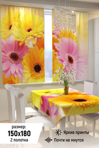 7335757 445e016d 8a3e 433b 96a0 8181d014f1d9