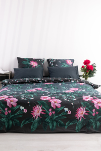 7551404 5c6d576c 3786 4a4d 8925 04cdfe0011e4