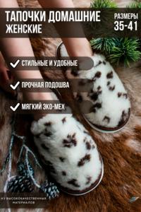 8081263 f02cee33 24d8 4e9e 9580 b3b6a66fe942