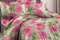 8081551 a61be615 2bcc 4eab 95a1 13156ef2a574