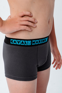 8192684 ffae2681 7705 4db0 a1fe 70a3bc7b910f