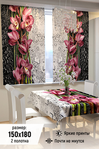 8192778 cd63cf16 4f1b 41e1 812d 1bde8f636272