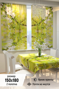 8192779 d20b4436 a547 499d a25c 705371216368