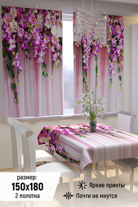 8192780 75196e6b 0c65 42cb b9e0 cc4b6f6039c8