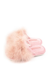 8253806 7fa8f737 3fec 48d4 81d1 99e7d27fd029