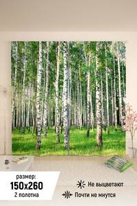 8365523 bd659b21 2956 4419 b8e5 bb4b127705f1