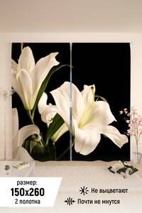 8365526 9cd2a7fc e681 47da 8e28 cabb089b3964