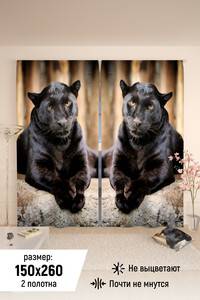 8365527 4a38918f 4901 496d 8f52 b0c63a0e8a0f