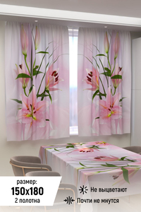 8720150 0a42b4f9 47bb 45ed 801e b11bed9a3caa