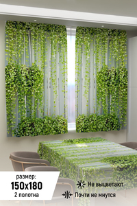 8720155 84870827 95b6 4d62 8d7a 53b1318f49a6