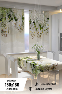 8721587 bc632258 5ae5 491e 98cb 6b298a521212