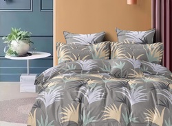 8762495 172c3cc2 273b 4b51 aa49 976fd614e902