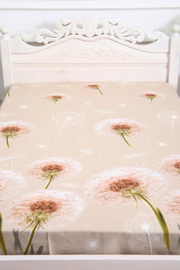 8808840 dbc680c7 a077 4adb 8ea7 b00a6ecaab66