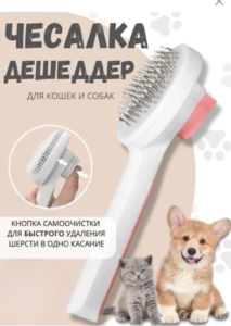 9048204 37803d1d e94a 4136 8c66 21821240f4a6