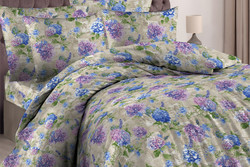 9048524 22b13838 babb 403f bd88 4dc953f54027