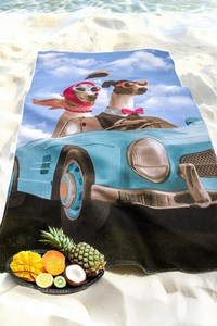 9135520 cda98e6d 31e6 4cd1 b30a 3ef9977ec280