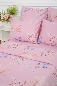 9136504 3f924526 2502 434e 94f6 54354dc1ae68