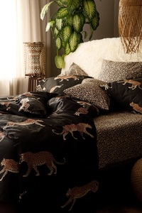 9136527 e03dce81 c6b4 4302 9aa3 419d3e5c25c1