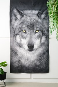 9136563 79cee0d5 cac6 4e59 b5f6 6424525510c6