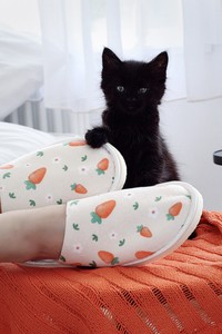 9219174 ad54f3b6 e413 4ab9 a3cc 67d03c5da1ba