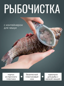 9219425 6d6546ff d9e5 402a b8ea c6198417cf0c