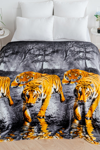 9220141 f03ea3e1 e2c2 4816 8f85 603a7cf645bb