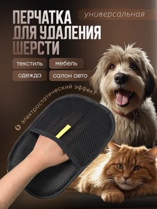 9319150 70ec8032 77bf 469f a132 6b23cf690a03