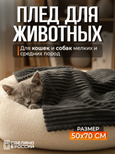 9344503 3d33f429 212c 4b02 8ce7 c3d9dcbeca44