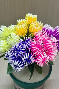 9344736 8563360b 64f4 4854 8c99 bfd31f459e82