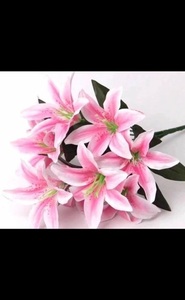 9344737 80f2d953 5863 4f64 b46f ef2c596823af