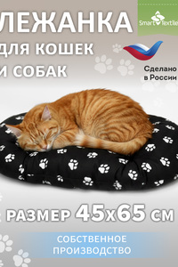 9345072 f6e67a83 0291 4226 91d2 db765d31bc55