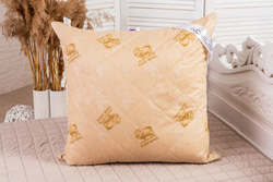 9345090 4fd2160c 0cae 446b bcbb cd9edae46bba