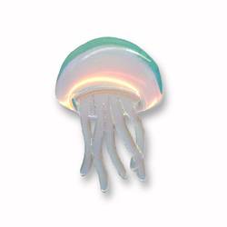 2921304 jellyfish