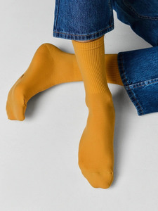 9350316 image