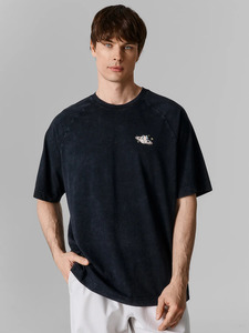 9350500 image