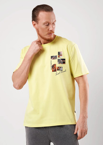 9350597 image