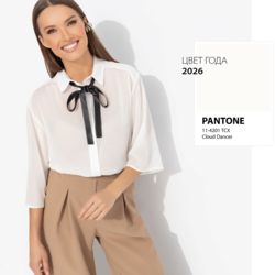 9355885 zhenskaya bluza iz poluprozrachnoy tkani rabotayu krasivo white 1.resize1.png.1260 1260