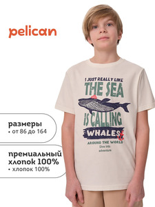 9256964 image