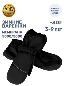 9261791 image