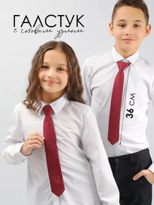 9340611 image