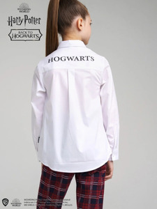 9351147 image