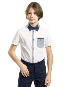 9353587 image