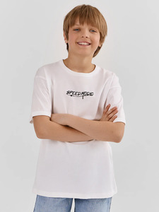 9353898 image